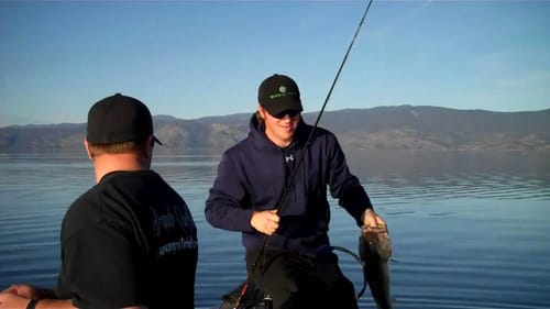 Clearlake Swimbait Fishing