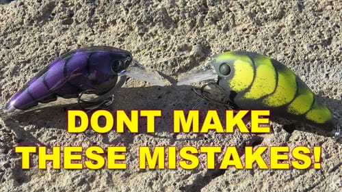 How To Set The Hook On A Crankbait (This Works!) | Bass Fishing