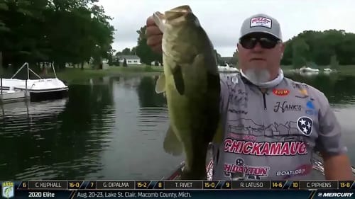 Can Largemouth factor at the St. Lawrence?