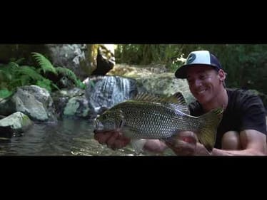 Jungle Perch Fishing