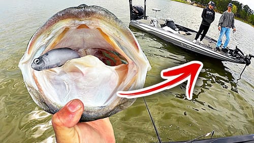 This VIOLENT Encounter on the water left me Speechless...
