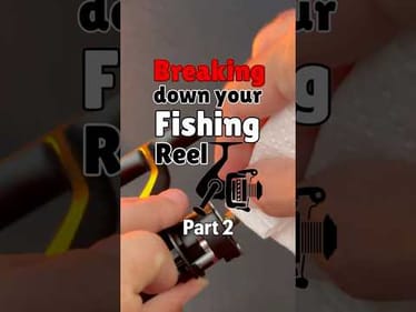 Breaking down every part of a fishing reel #fishing