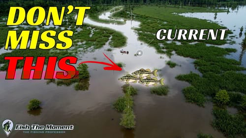 Don't Miss This Overlooked Summer Pattern on Shallow Lakes