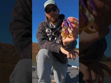 Options 👌 #bassunion #bassunionjigs