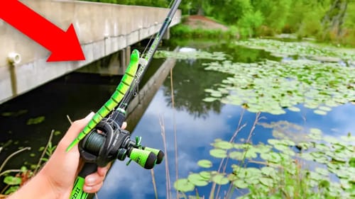 Fishing w/ SNAKES & RATS in HIDDEN Swamp (BIG FISH)