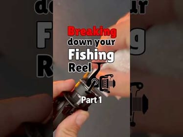 Breaking down your fishing reel: Part 1
