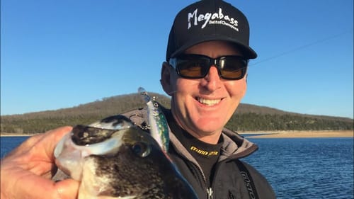 This Story Of Megabass Will Blow You Away…