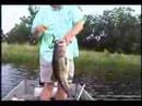 9 Pound Largemouth Bass Fishing in Alabama
