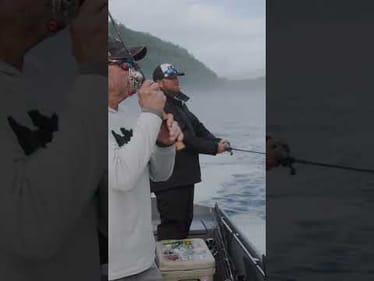 Jerkbait Fishing for Trout (Line Type & Size!)