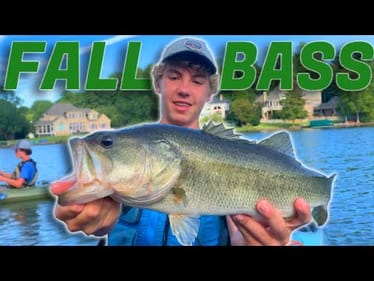 Best day EVER of FALL FISHING! (Kayak fishing mayhem)