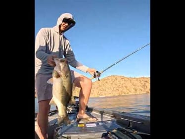 Hookset of the year? #bassfish #bassangler #fishspecies #freshwaterfish #azangler