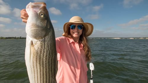Wife Goes Striped Bass Fishing | Catch and Cook