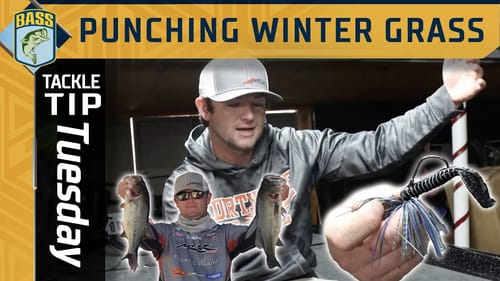 Punching Dead Grass in Winter with Wes Logan
