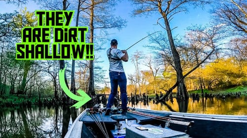 Catching AGGRESSIVE River BASS In INCHES of Water!! || Spring Bass Fishing