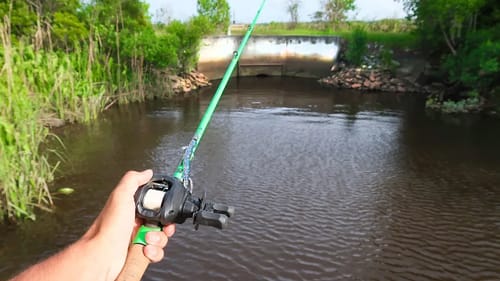This TINY DAM is LOADED w/ Bass (River Fishing)