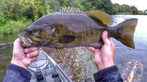 Rainy Day Bass Fishing