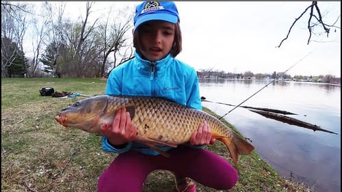 Kid catches giant carp and catfish