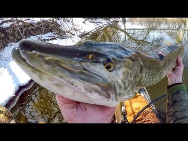 Fishing For A Cold Water MONSTER!