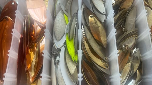 The 2 Spinnerbait Blades That Have Produced 30+ Bass Over 7 Pounds For Me