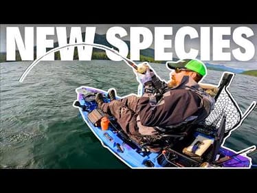 I Caught Fish I Couldn’t Even Name… *NEW Species UNLOCKED!*