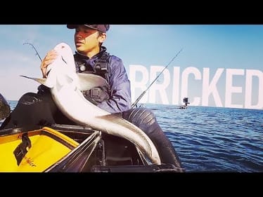 I lost my job So I'm Going Fishing - Unstoppable Cobia!
