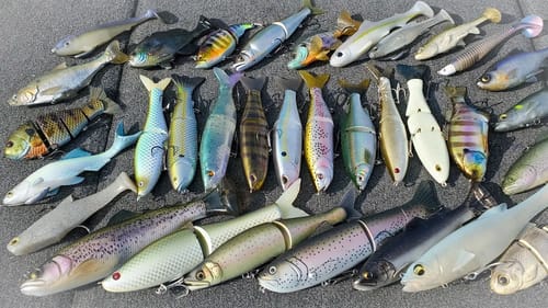 Swimbait Fishing For Bass - Full Seminar! (Beginner To Advanced)
