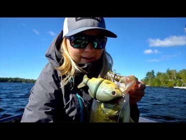 The FALL FEED is ON!! (Big Swimbait Fishing)