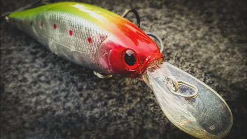 Top 5 Baits To Catch Tough Winter Bass