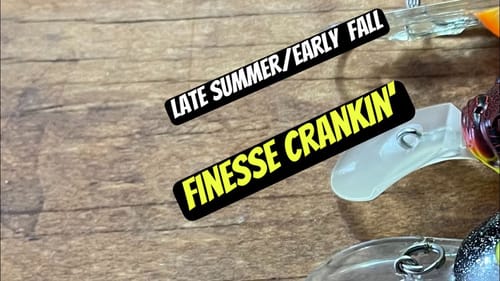The 3 Best Small Crankbaits/Techniques For Late Summer/Fall Bass