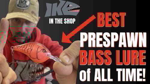 The Best PRESPAWN Bass Lure of ALL TIME!