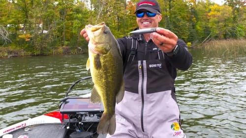 4 Tips to Boost Success With Walking Topwater Baits