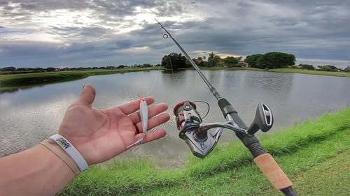 Fishing JERKBAIT For EXOTIC Florida Fish!