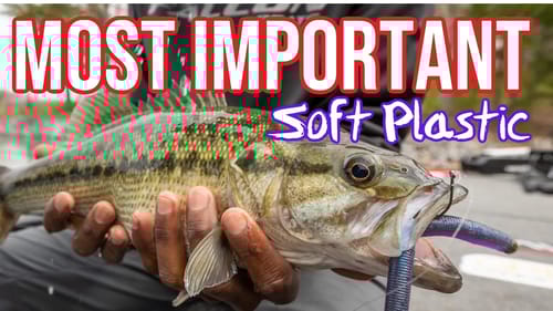Soft Plastics Are IMPORTANT