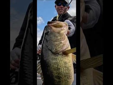 🔥LAKE RECORD FISH CAUGHT! 🎣GOING IKE Tomorrow at 12pm