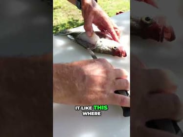 Crappie Fillet: How to Clean and Prepare Delicious Fish #shorts