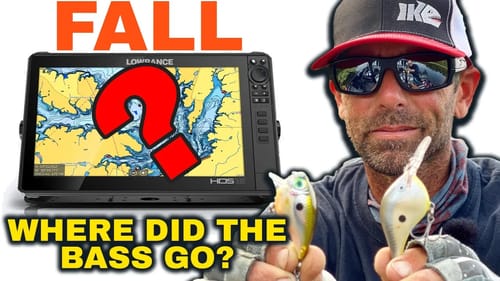 Where to Fish for Bass in the Fall