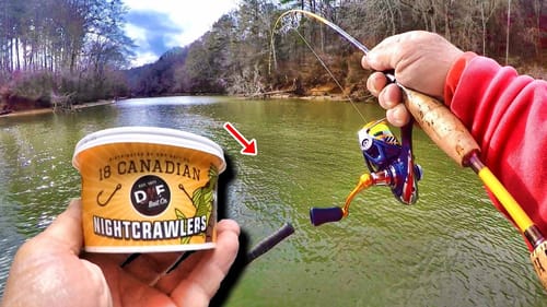 How To Catch BIG Fish With Worms From Walmart