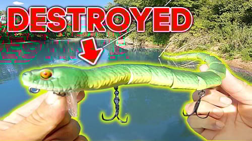 Topwater Snake Lure gets DESTROYED by ANGRY River Fish!!