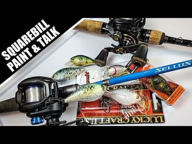 Squarebill Crankbaits | Rod, Reel, & Line (Bonus Speed Paint)