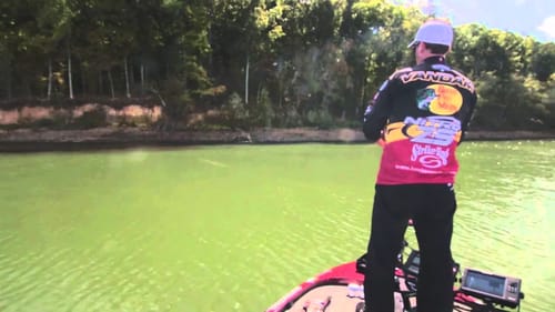 Follow Transition Banks for Spring Fishing