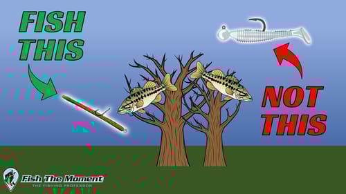 The Most Common Misconception About Catching Suspended Bass