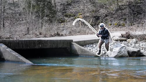 BIG Fish Hunting in a SMALL Creek!!!