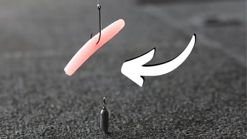 MOST Guys Get This WRONG (Drop Shot Fishing)