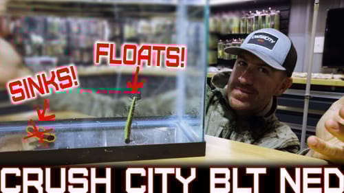 Fish ACTUALLY Notice THIS... Floating Ned = More Bites
