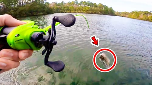 Catching GIANT Bass in HIDDEN Lake! (SCALE / NET NEEDED)
