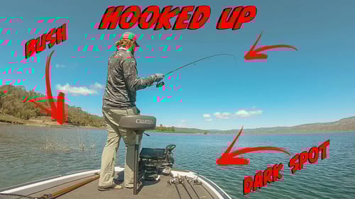 Sight Fishing Mistakes You've Been Making - How To Catch More Bass!