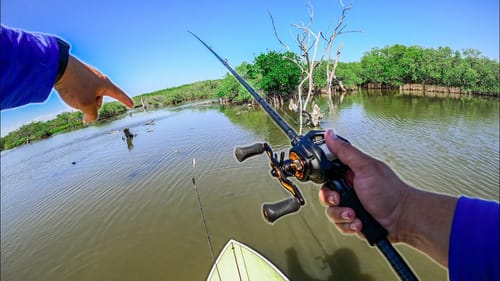 Extreme Shallow Water Sight Fishing & Dam Fishing