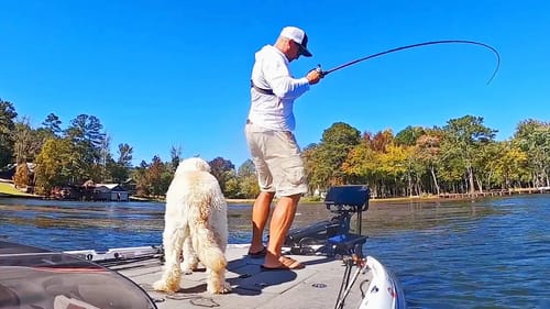 CRUSHING BIG BASS PUNCHING GRASS! EPIC DAY! (TONS OF FISH)