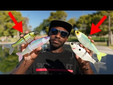 Which New Affordable Glide Bait Is The Best On The Market?