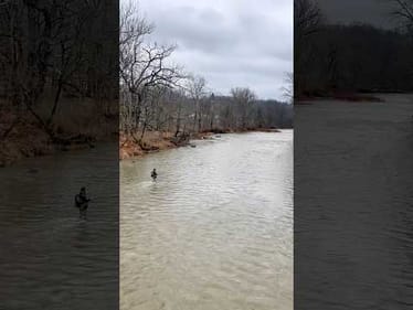 Steelhead Fishing Has Been BRUTAL 💀